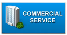 providing professional commercial services