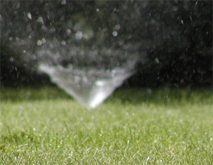 a recently calibrated sprinkler on a green lawn