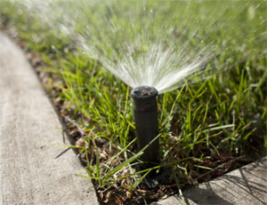 a sprinkler system installed by our team